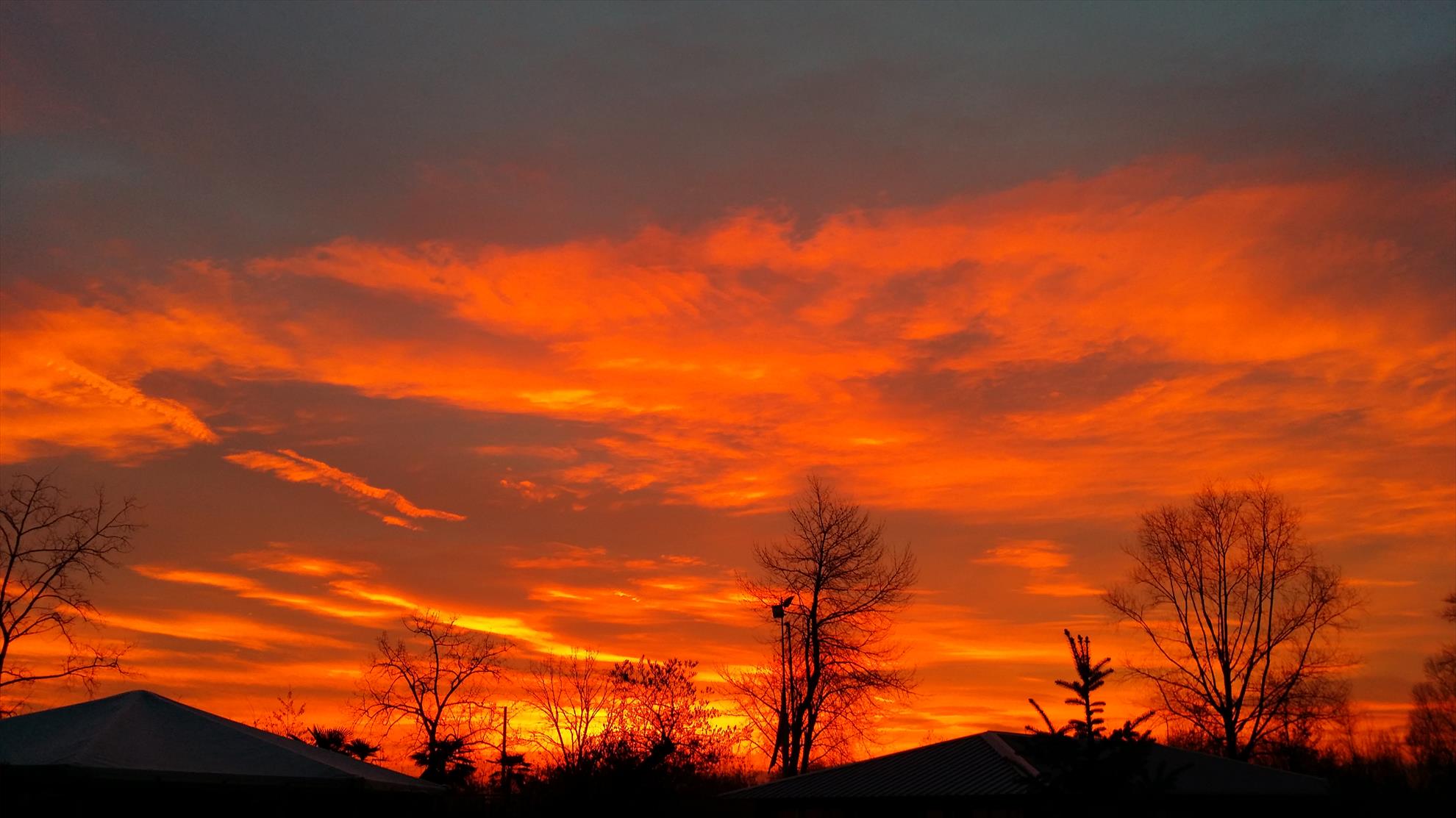 Isola 2015  - 20150109074921.jpg